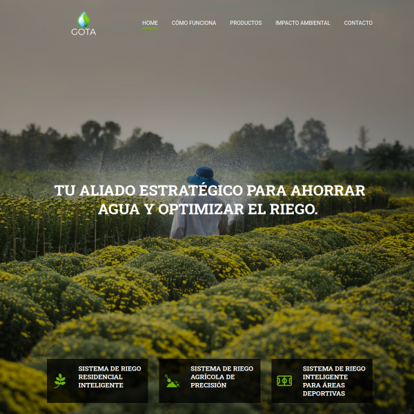 Captura del sitio Gota.cl